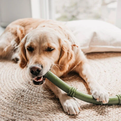 Beeztees Sumo Fit Stick – Bild 2