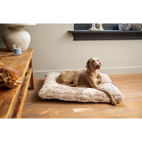 Designed By Lotte Xanti Hundekissen – Bild 3