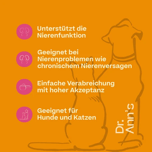 Dr. Ann's Kidney Support – Bild 3