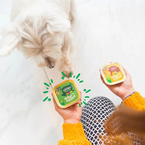 Edgard & Cooper Adult - Lamm & Rind - Im Schälchen – Bild 2