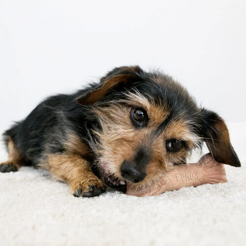 KONG ChewStix Ultra Stick – Bild 5