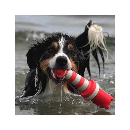 Rogz Leuchtturm – Bild 2