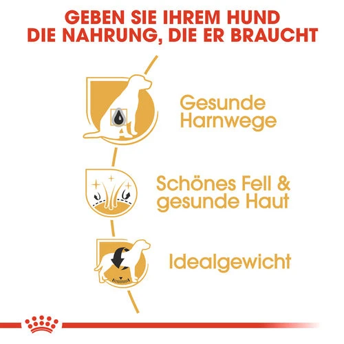 Royal Canin Bichon Frisé Adult - Hundefutter – Bild 3