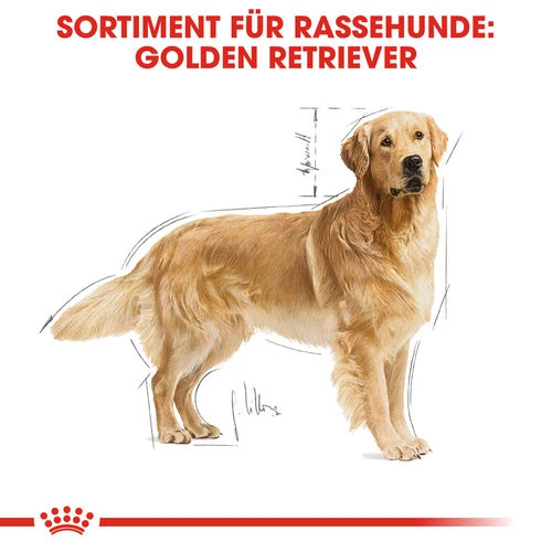 Royal Canin Golden Retriever Adult - Hundefutter – Bild 4