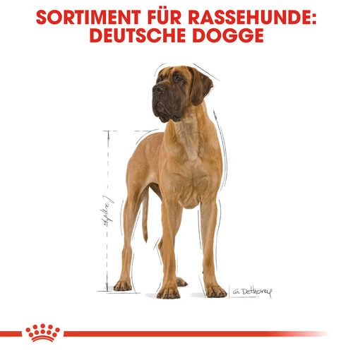 Royal Canin Great Dane Adult - Hundefutter – Bild 4