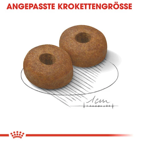 Royal Canin Maxi Ageing 8+ - Hundefutter – Bild 5