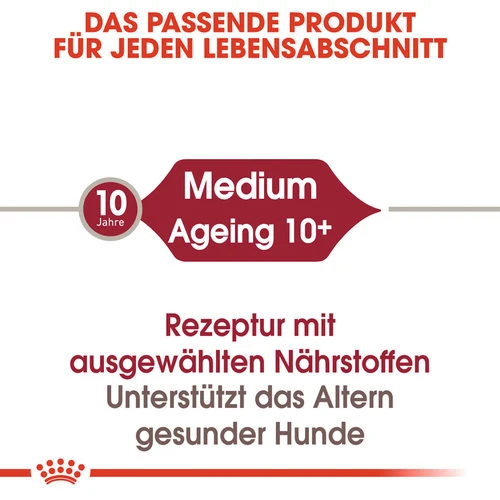 Royal Canin Medium Ageing 10+ Wet - Hundefutter – Bild 5