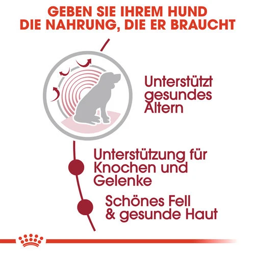 Royal Canin Medium Ageing 10+ Wet - Hundefutter – Bild 4