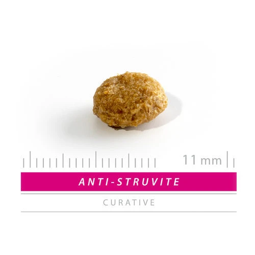 SANIMED Anti Struvite Dog – Bild 2