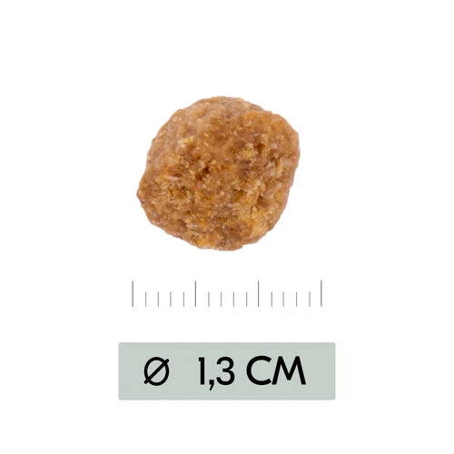 Vetality Metabolic & Mobility - Hundefutter – Bild 3