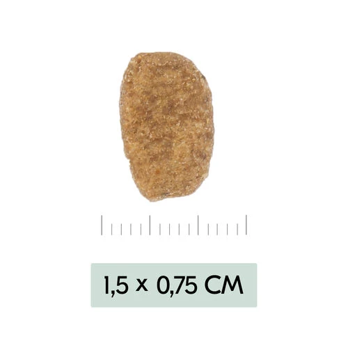 Vetality Weight Management - Hundefutter – Bild 3