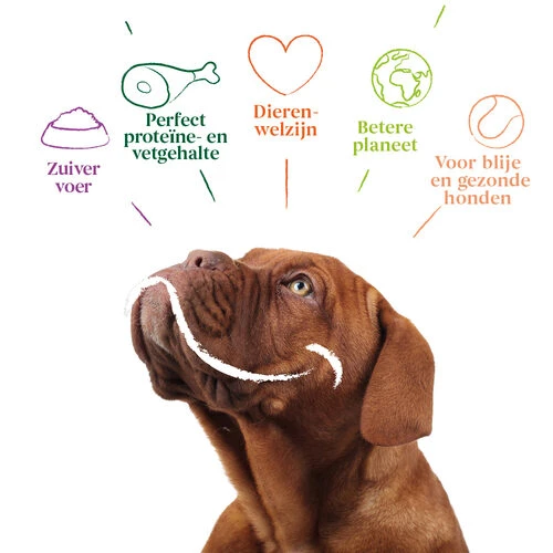 Yarrah - Bröckchen Huhn Mit Brennnessel & Tomate In Soße Bio – Bild 4